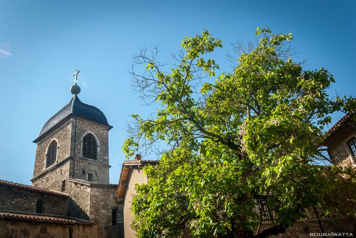 Pérouges cité médiévale -16 Juin 2012