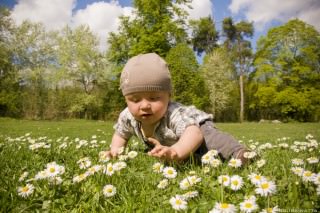 pique-nique-bois-de-boulogne-03