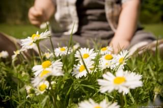 pique-nique-bois-de-boulogne-05