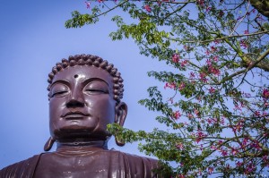 le_grand_bouddha_de_baguashan_14