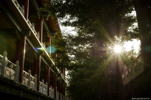 le_grand_bouddha_de_baguashan_47