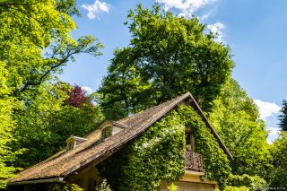 L'île verte - Châtenay-Malabry