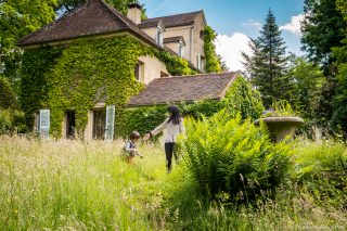 découverte - l’île verte - Châtenay-Malabry